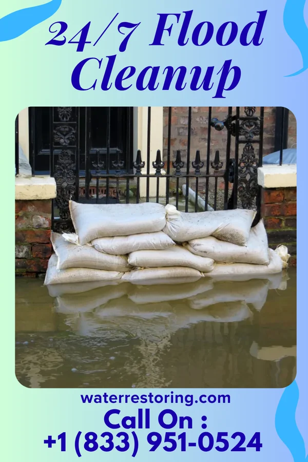 24/7 Flood Cleanup in Mikes, TX
