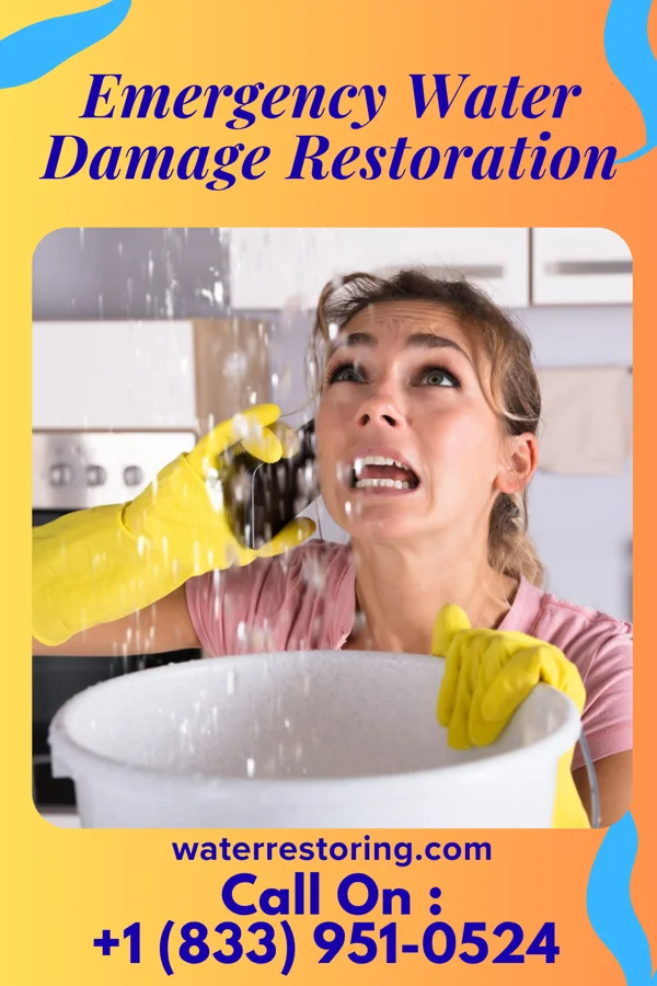 Emergency Water Damage Restoration in Mikes, TX