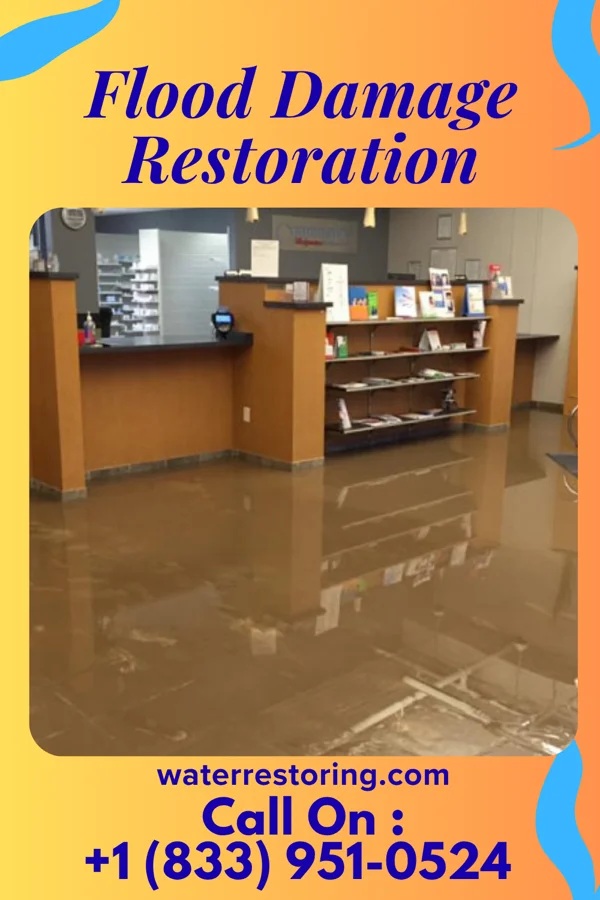 Flood Damage Restoration in Mikes, TX