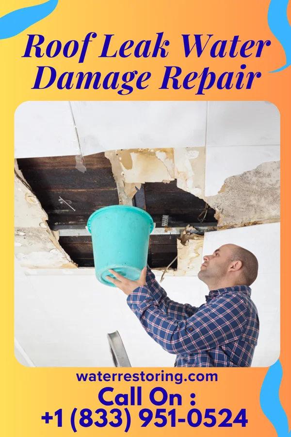 Roof Leak Water Damage Repair in Mikes, TX
