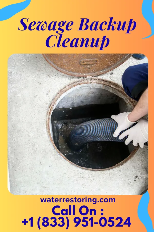 Sewage Backup Cleanup in Mikes, TX