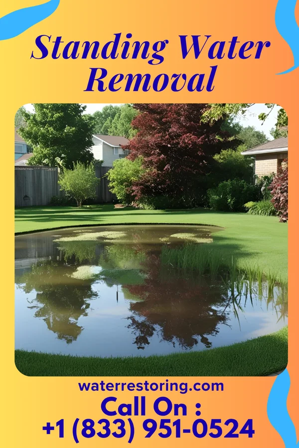 Standing Water Removal in Mikes, TX